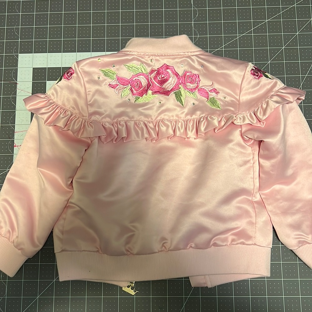 3/$10 Girls Disney pink jacket